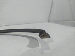 PESTANA EXTERNA SUPERIOR PORTA TRASEIRA DIREITA CLIO 1999