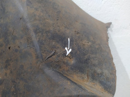 PARA BARRO FRENTE DIANTEIRO DIREITO PEUGEOT 206 SW 2007