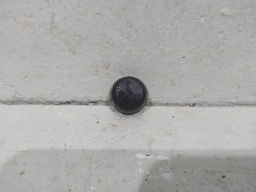 ACABAMENTO BOTAO PARAFUSO PEUGEOT 206 SW