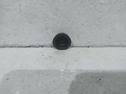 ACABAMENTO BOTAO PARAFUSO PEUGEOT 206 SW