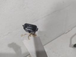 SONDA LAMBDA  RENAULT MEGANE 1.6 16V 2007