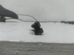 BASE ANTENA AUDIO PEUGEOT 206 SW 2007