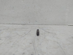 PARAFUSO PRISIONEIRO ESCAPE PEUGEOT 206 1.4 8V 2007