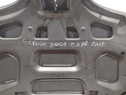 CAPO RENAULT SCENIC 20001