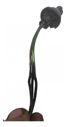 CHICOTE MOTOR RENAULT MEGANE 1.6 16V 2010