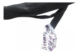 CHICOTE DA PARTE TRASEIRA RENAULT MEGANE 2007]