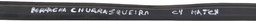 BORRACHA CAPO CHURRASQUEIRA C4 HATCH 2010 AVARIA