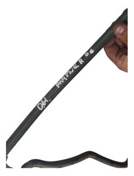 MANGUEIRA OLEO PARTNER 2006