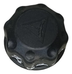 Tampa Reservatório Água Gran Picasso 2009