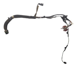 CHICOTE PORTA DIANTEIRA ESQUERDA RENAULT SCENIC 2001