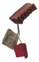 CHICOTE PORTA DIANTEIRA ESQUERDA RENAULT SCENIC 2001