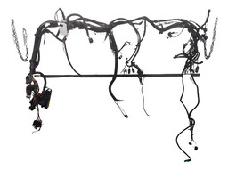 Chicote Motor Renault Scenic 2001 1.6 16v Manual Com Detalhe