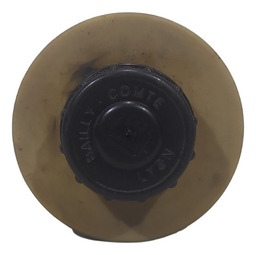 RESERVATÓRIO OLEO DIREÇÃO HIDRAULICA RENAULT SCENIC 2006