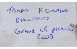 TAMPA REBOQUE PARA CHOQUE DIANTEIRO CITROEN C4 GRAND PICASSO