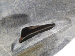 FORRO PORTA TRASEIRA ESQUERD RENAULT SCENIC 2006 COM DETALHE