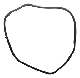 BORRACHA PORTA DIANTEIRA ESQUERDA PEUGEOT 407 SW 2006