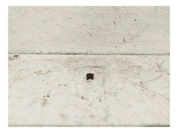 PAR CHAVETA TRAVA VALVULA CITROEN C4 2.0 16V 2010