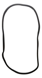 BORRACHA PORTA DIANTEIRA ESQUERDA RENAULT CLIO SEDAN 2007