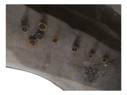 PARA LAMA DIANTEIRO ESQUERDO PEUGEOT 306 SW 2000