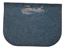 TAMPA ACABAMENTO PORTA TRECOS TRASEIRO RENAULT SCENIC 2001