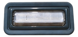 LUZ CORTESIA TETO RENAULT SCENIC 2000