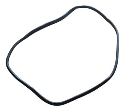 BORRACHA PORTA TRASEIRA ESQUERDA CITROEN C3 AIR CROSS 2013