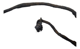 CHICOTE PORTA TRASEIRA DIREITA PEUGEOT 207 2011