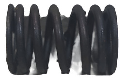 Mola Valvulas Motor Renault Scenic 1.6 16v 2000 Gasolina