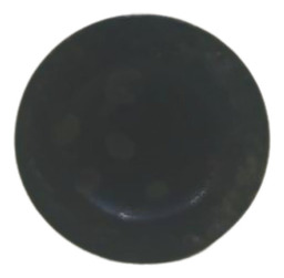 VALVULA ADMISSÃO MOTOR RENAULT SCENIC 1.6 16V 2000 GASOLINA