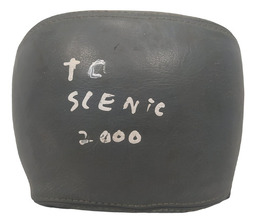 ENCOSTO CABEÇA BANCO TRASEIRO CENTRAL RENAULT SCENIC 2000