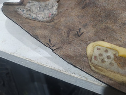 TAMPÃO BAGAGITO PORTA MALAS PEUGEOT 307 2007 SEDAN COM DETAL