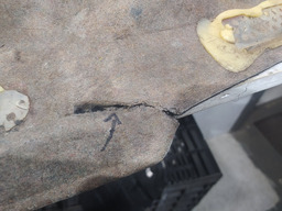 TAMPÃO BAGAGITO PORTA MALAS PEUGEOT 307 2007 SEDAN COM DETAL