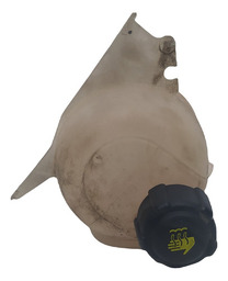 Reservatorio Agua Motor Renault Logan 1.0 16v