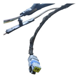 CHICOTE PORTA DIANTEIRA DIREITA PICASSO 02/08