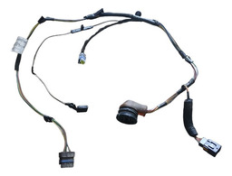 CHICOTE PORTA DIANTEIRA DIREITA PICASSO 02/08