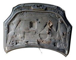 CAPO FUSION 2006 A 2009 (DETALHE)