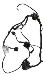 CHICOTE PORTA DIANTERIA ESQUERDA COMPASS 17/20