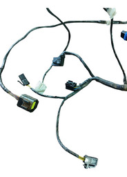 CHICOTE PORTA DIANTEIRA ESQUERDA LINEA 09/14