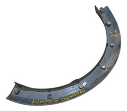 MOLDURA DO PARALAMA DIAN ESQUERDO PARA SANDERO STEPWAY 08/14