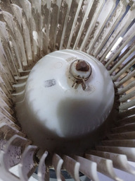 MOTOR VENTILADOR AR CONDICIONADO TIIDA 2007 A 2013 DETALHE