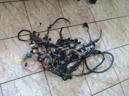 Chicote Do Motor Completo Bmw 320 2012