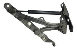 Dobradiça Do Capô Traseiro Ford Focus 2001 A 2008 15902