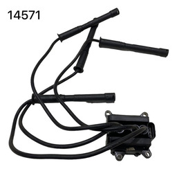Bobina Ignição Peugeot 206 1.0 2001 A 2004 14571