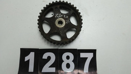 Polia Comando Valvulas Citroen C3 Xsara *1287 Pr011