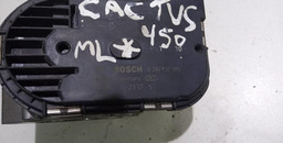 TBI CORPO DE BORBOLETA C4 CACTUS 2021 0280750085 *3923 CX059
