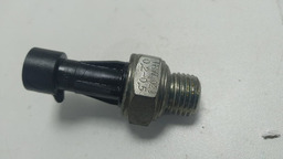 CEBOLINHA DE OLEO C4 CACTUS 2021 *2823 CX046