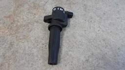 Bobina Ignição Ford Focus 2.0 2009 A 2012 Original