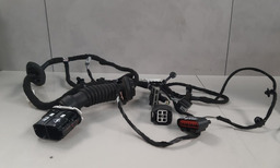 Chicote Porta Dianteira Esquerda Ford Ecosport 1.5 2019 2021