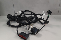 CHICOTE PORTA DIANTEIRA ESQUERDA FORD ECOSPORT 1.5 2019 2021