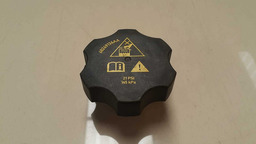 TAMPA DO RADIADOR FORD FOCUS 2009